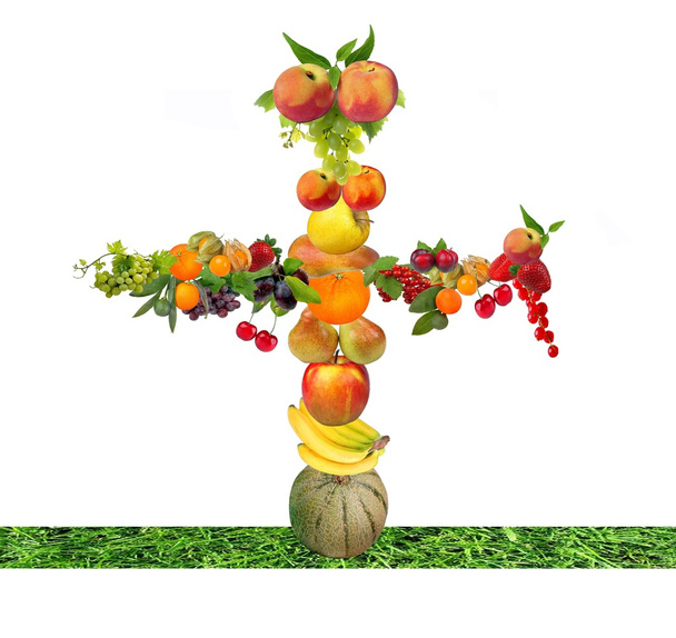 fruitboom - Foto, afbeelding