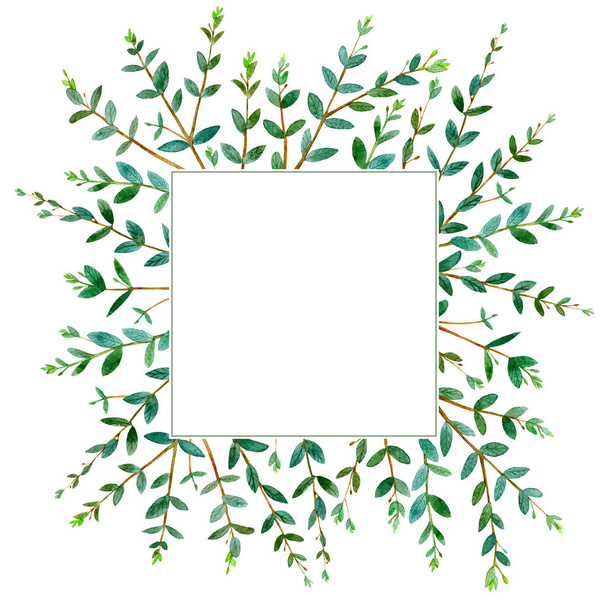 Frame of a eucalyptus branches.green floral border.postcard.watercolor hand drawn illustration.White background. - Fotografie, Obrázek