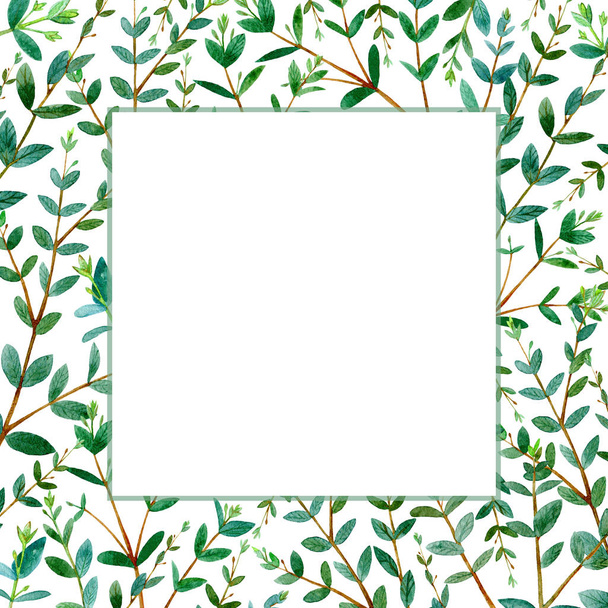 Frame of a eucalyptus branches.green floral border.postcard.watercolor hand drawn illustration.White background. - Photo, image