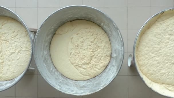Vértes videó az élesztő tészta gyártás. - Felvétel, videó