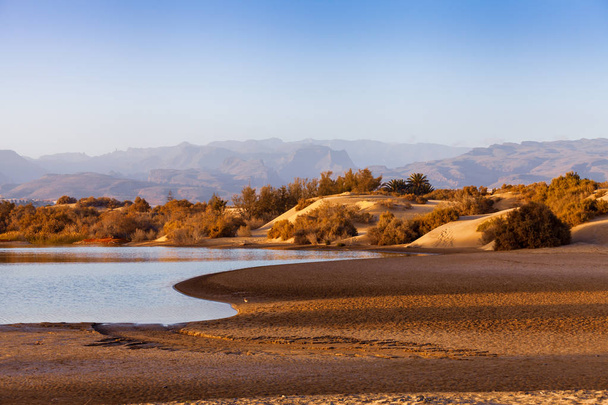 Песчаные дюны Маспаломы - Фото, изображение