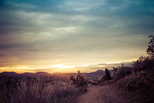 Desert Trail at Sunset - Foto, immagini