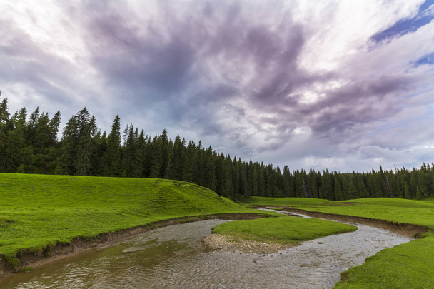 Kauniit maisemat vuorilla kesällä, koskematon vihreä niitty ja järvi keskellä metsää, Alpeilla
 - Valokuva, kuva