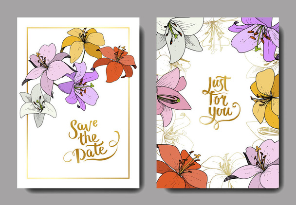 Vector Lily flor botânica floral. Arte de tinta gravada. Casamento cartão de fundo floral borda decorativa
. - Vetor, Imagem