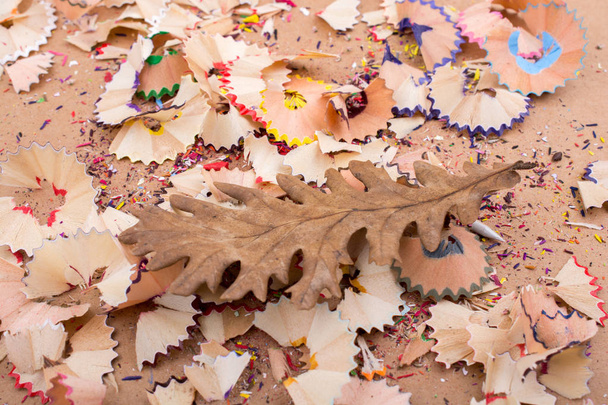 Dry leaf amid color pencil shaving trash - Photo, Image