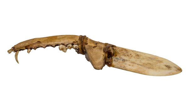 Старый нож североамериканских индейцев из костей и сухожилий
 - Фото, изображение