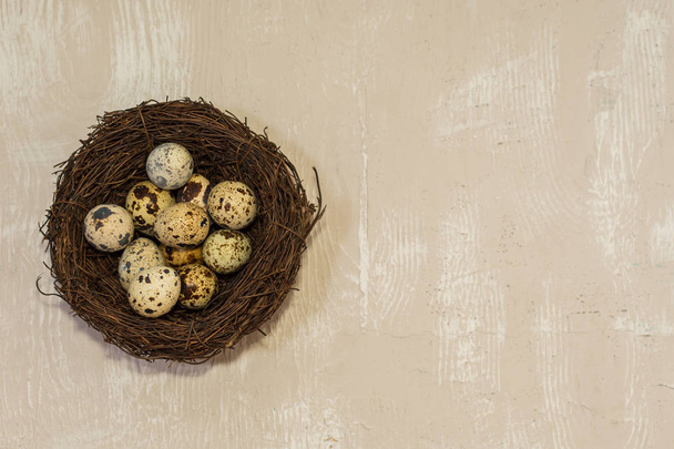 huevos de codorniz en el nido sobre fondo de madera clara
 - Foto, imagen