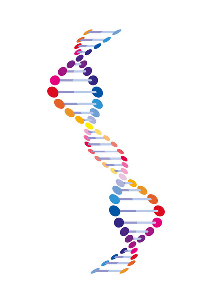 vertical dna chain science colorful icon - Vector, Image