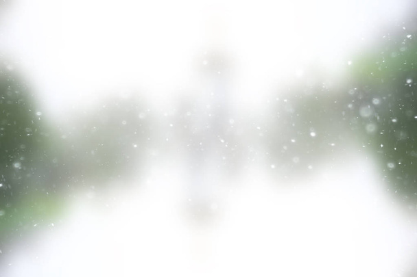 blurred snow / winter abstract background, snowflakes on abstract blurred glowing leaf background - 写真・画像