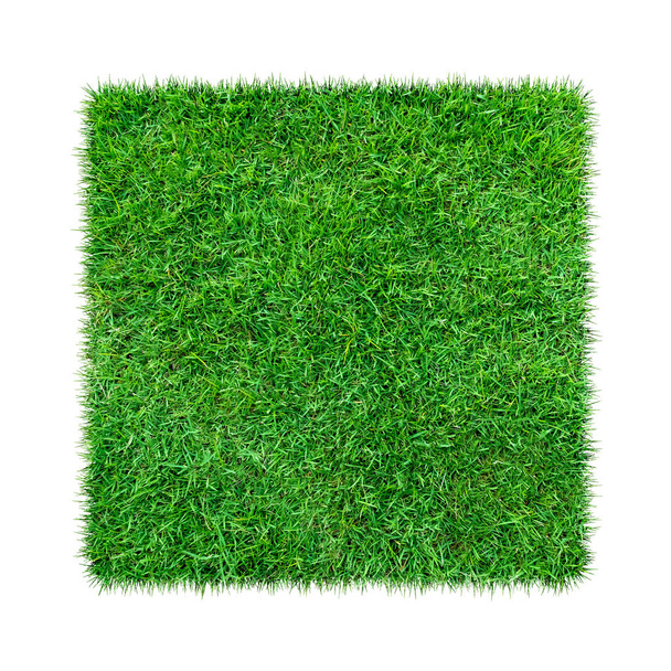 Zöld fű. Természetes textúra a háttér. Friss zöld tavaszi fű. elszigetelt fehér background vágógörbével. - Fotó, kép