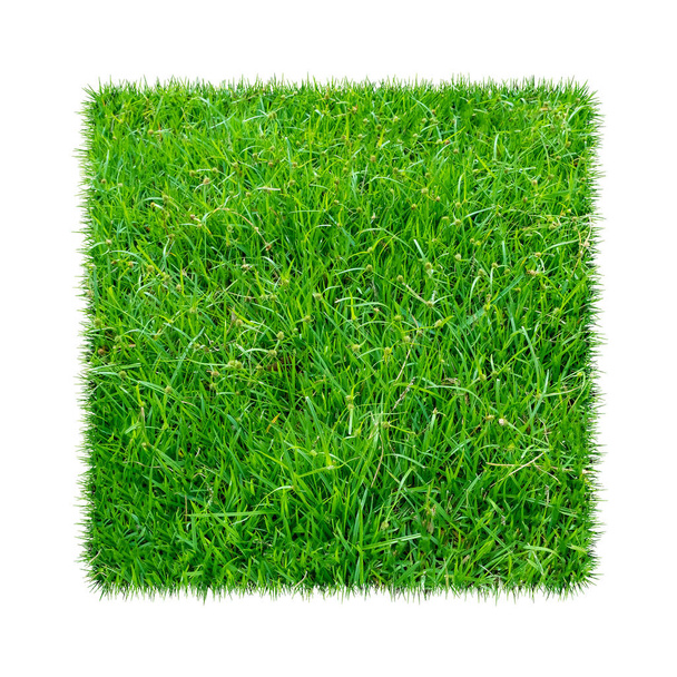 Zelená tráva. Přírodní texturu pozadí. Čerstvý jarní zelené trávě. izolované na bílém pozadí s ořezovou cestou. - Fotografie, Obrázek