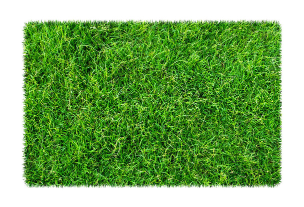Zöld fű. Természetes textúra a háttér. Friss zöld tavaszi fű. elszigetelt fehér background vágógörbével. - Fotó, kép