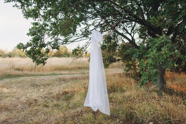 White classic veil of the bride hanging on a branch of green oak against the evening sky. - Fotoğraf, Görsel