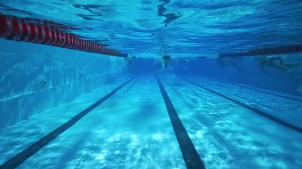 Man swimming in clear pool water underwater diving and sport - Footage, Video