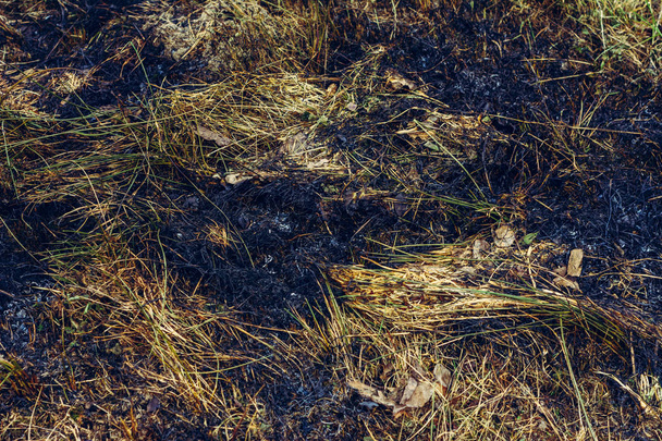 Черные пятна и дым от опаленной сухой травы экологически опасны
 - Фото, изображение