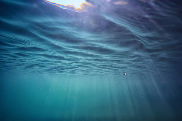 lago fondo agua submarino abstracto / agua dulce buceo fondo naturaleza submarino ecosistema fondo
 - Foto, Imagen