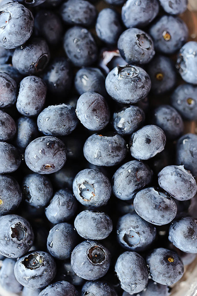 abstract blueberry berries background - Φωτογραφία, εικόνα