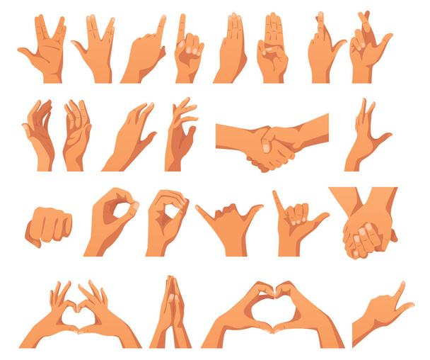 jogo de vários gestos de mãos
 - Vetor, Imagem