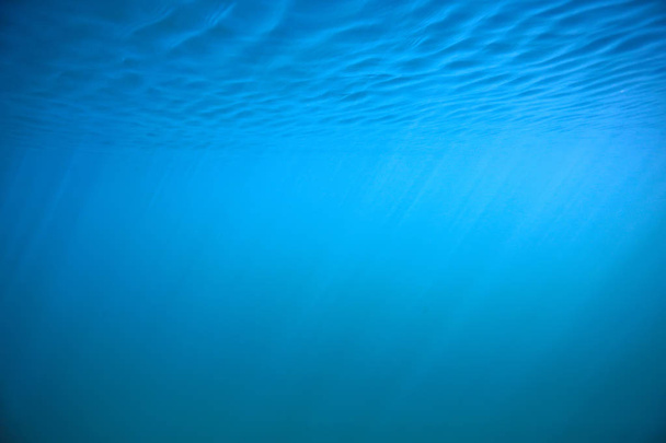 oceaanwater blauwe achtergrond onderwaterstralen zon/abstracte blauwe achtergrond natuurwater - Foto, afbeelding