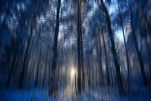 abstract forest blurred winter vertical lines / winter forest background, abstract landscape - Photo, Image