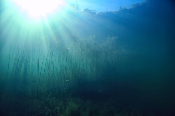 oceaanwater blauwe achtergrond onderwaterstralen zon/abstracte blauwe achtergrond natuurwater - Foto, afbeelding