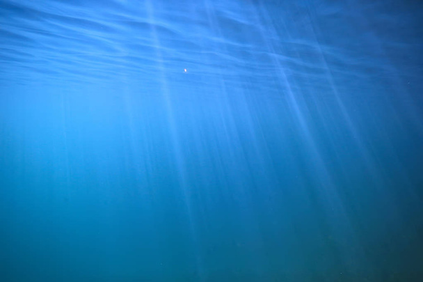 lago fondo agua submarino abstracto / agua dulce buceo fondo naturaleza submarino ecosistema fondo
 - Foto, imagen