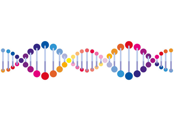horizontal dna chain science colorful icon - Vector, Image