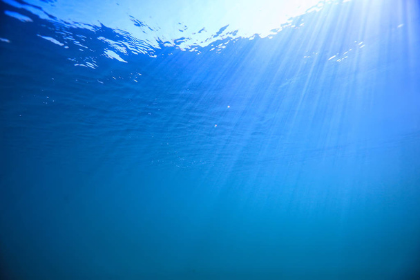 lago fondo agua submarino abstracto / agua dulce buceo fondo naturaleza submarino ecosistema fondo
 - Foto, Imagen