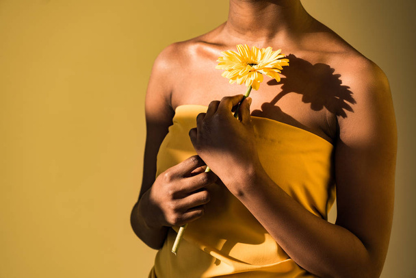 Cropped view of african american woman holding flower on brown - Foto, immagini