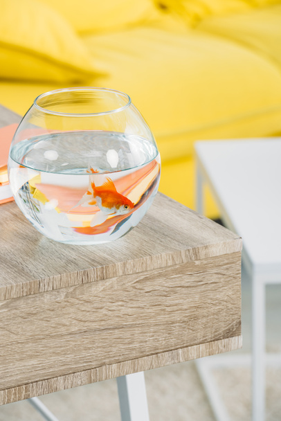selective focus of aquarium with gold fish on wooden table  - Photo, Image