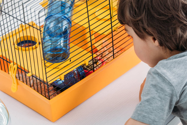 vue partielle du garçon regardant la cage orange pour animaux de compagnie avec tunnel transparent bleu
 - Photo, image