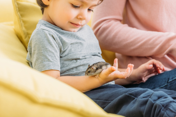 Selektiver Fokus des niedlichen Jungen, der einen grauen pelzigen Hamster hält, während er in der Nähe der Mutter sitzt - Foto, Bild