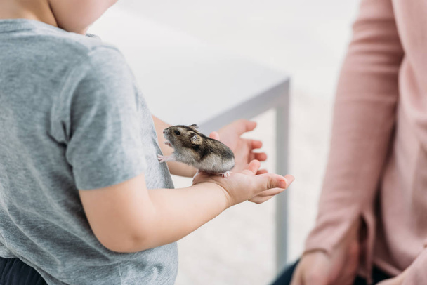 partial view of boy holding adorable fluffy hamster hear mother - Fotoğraf, Görsel