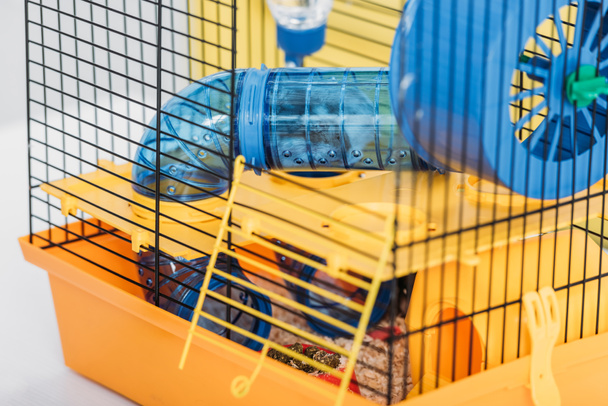 orange pet cage with hamster inside transparent plastic tunnel - Fotoğraf, Görsel