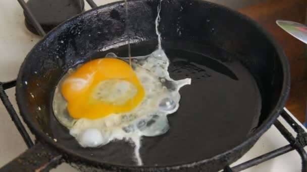 Small quail eggs break into pan for fried scrambled eggs - Záběry, video