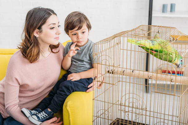 pretty woman with cute boy sitting on sofa and looking at green parrot in bird cage at home - Photo, Image