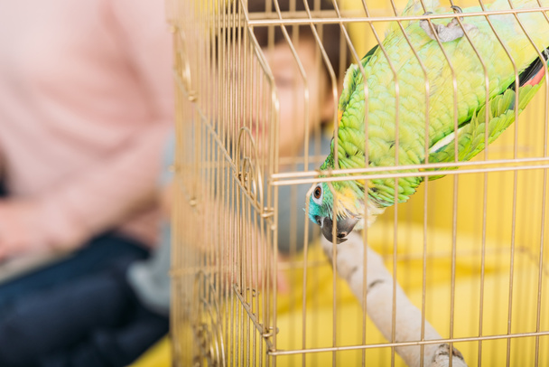selective focus of funny green parrot hanging head down in bird cage - Photo, Image