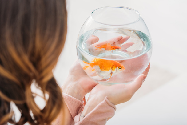 вид сзади женщины, держащей в руках аквариум с ярко-золотой рыбой
 - Фото, изображение