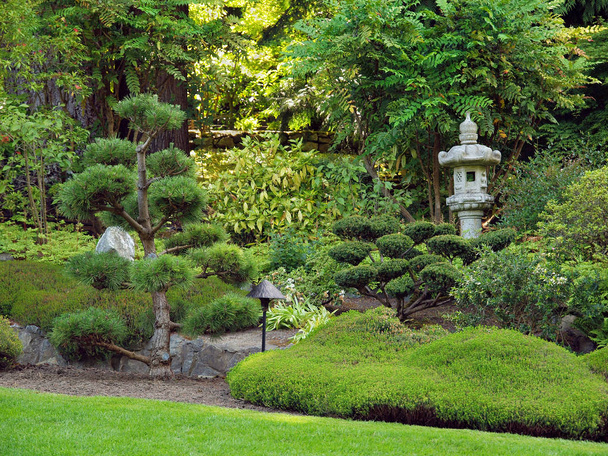 Japanilainen puutarha - Valokuva, kuva