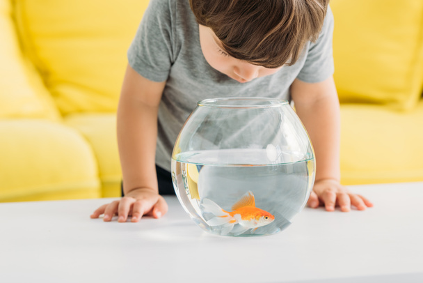 очаровательный любопытный мальчик смотрит в аквариум с золотой рыбкой
  - Фото, изображение