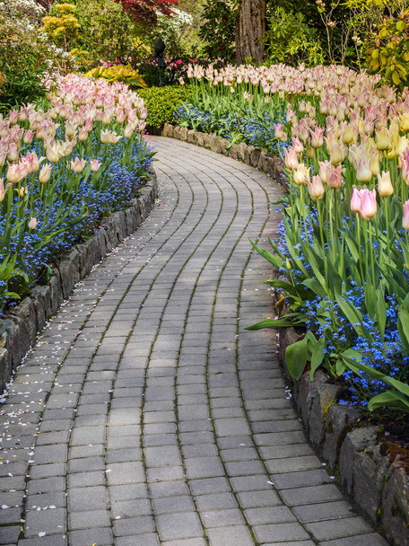 Walkway in a spring garden - Фото, изображение