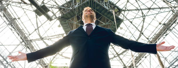 panoramic shot of joyful businessman with outstretched hands in greenhouse - Photo, Image