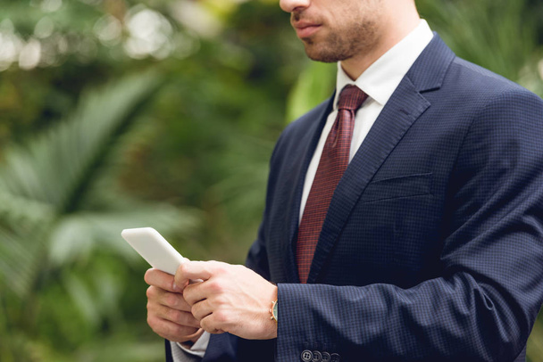 обрезанный вид бизнесмена в костюме с помощью смартфона в теплице
  - Фото, изображение
