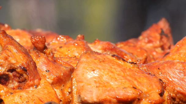 Shish kebab a grillen - Felvétel, videó