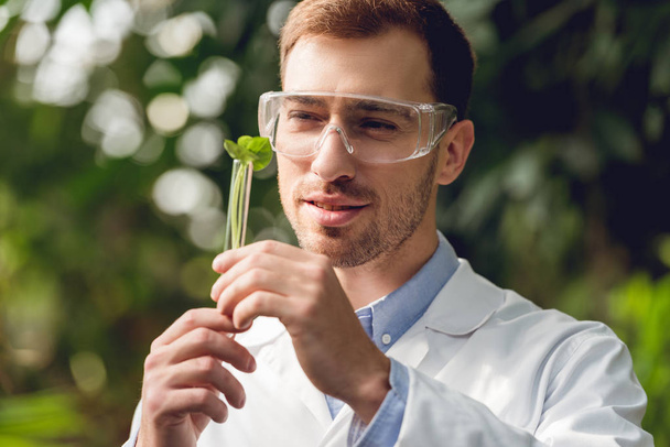 sonriente guapo científico en bata blanca y gafas sosteniendo matraz con muestra de planta en naranja
 - Foto, Imagen