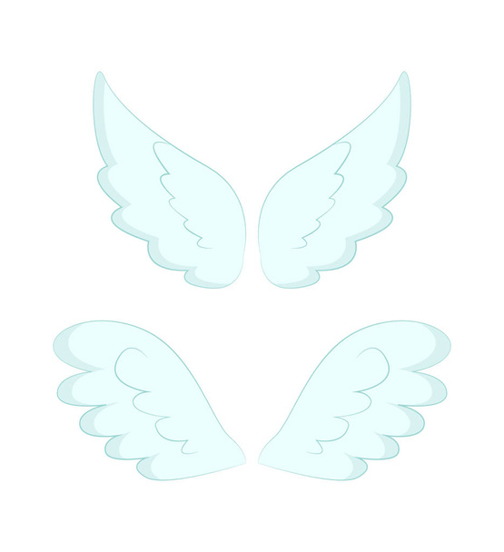 Angel Wings fehér tollak elszigetelt objektum - Vektor, kép
