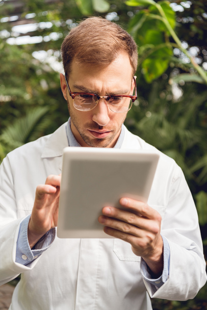 concentrated handsome scientist in white coat and glasses using digital tablet in orangery - Photo, Image