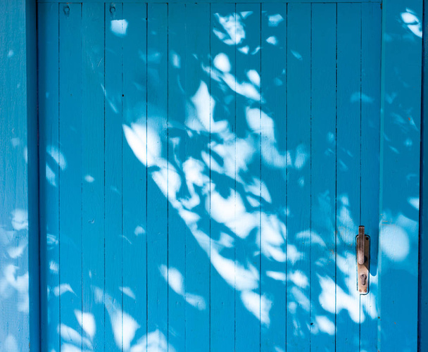 Ombre di foglie estive su uno sfondo di legno blu
 - Foto, immagini