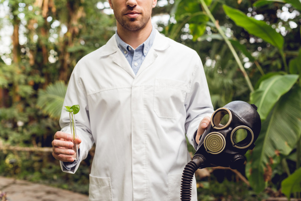részleges tekintettel a tudós fehér kabátot tartó gumi gáz maszk és a lombik növényi minta orangery - Fotó, kép