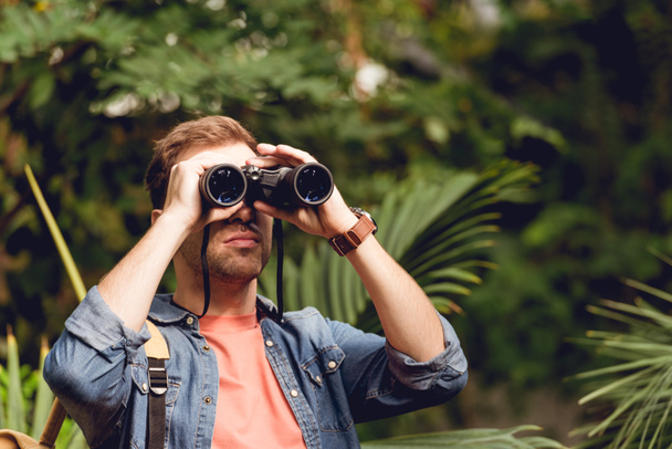 adult traveler looking through binoculars in tropical green forest - Photo, Image